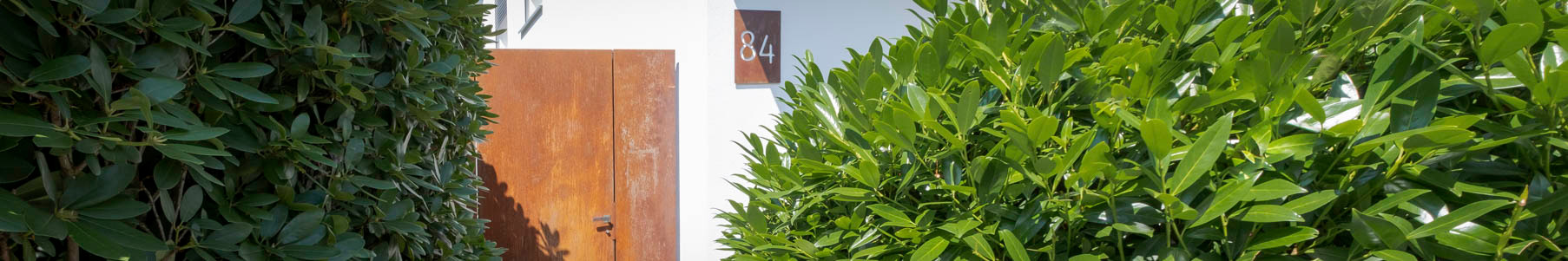 Banner-Image